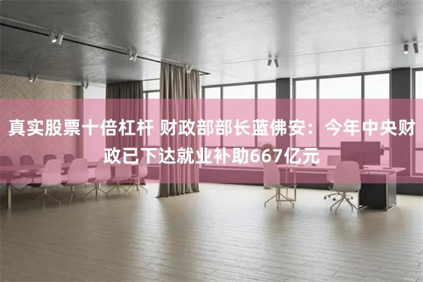 真实股票十倍杠杆 财政部部长蓝佛安：今年中央财政已下达就业补助667亿元