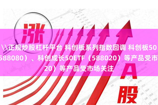 \正规炒股杠杆平台 科创板系列指数回调 科创板50ETF（588080）、科创成长50ETF（588020）等产品受市场关注