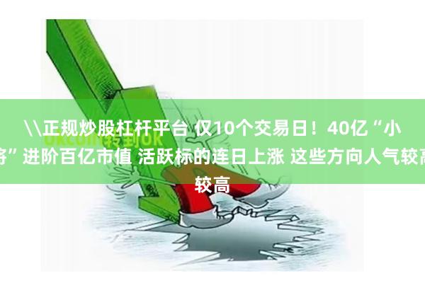 \正规炒股杠杆平台 仅10个交易日！40亿“小将”进阶百亿市值 活跃标的连日上涨 这些方向人气较高