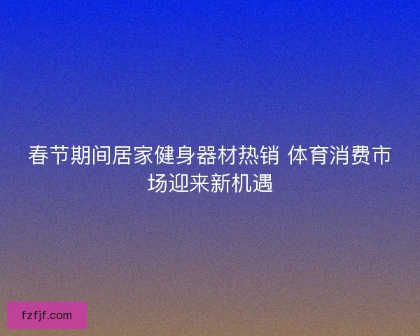 春节期间居家健身器材热销 体育消费市场迎来新机遇